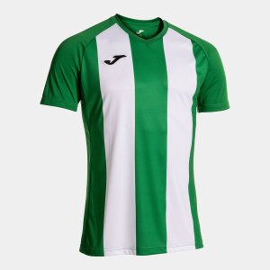 JOMA SHIRT SHORT SLEEVE MAN INTER IV GREEN WHITE