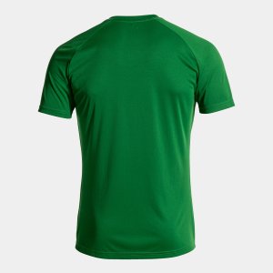 JOMA SHIRT SHORT SLEEVE MAN INTER IV GREEN WHITE