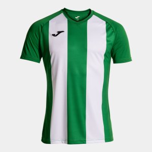 JOMA SHIRT SHORT SLEEVE MAN INTER IV GREEN WHITE