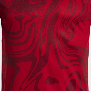 JOMA LION II SHORT SLEEVE T-SHIRT RED