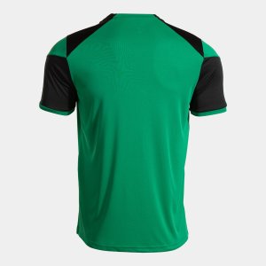 JOMA DANUBIO SHORT SLEEVE T-SHIRT GREEN DARK GRAY