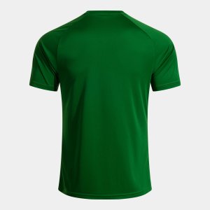 JOMA INTER V SHORT SLEEVE T-SHIRT GREEN WHITE