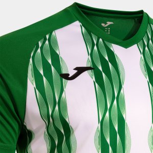 JOMA INTER V SHORT SLEEVE T-SHIRT GREEN WHITE