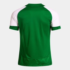 JOMA HISPA V SHORT SLEEVE T-SHIRT GREEN WHITE