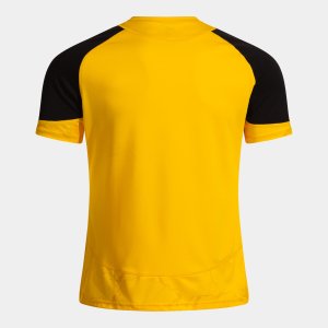 JOMA HISPA V SHORT SLEEVE T-SHIRT YELLOW BLACK