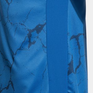 JOMA GOLD VII SHORT SLEEVE T-SHIRT ROYAL BLUE WHITE