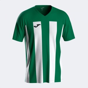 JOMA INTER VI SHORT SLEEVE T-SHIRT GREEN WHITE