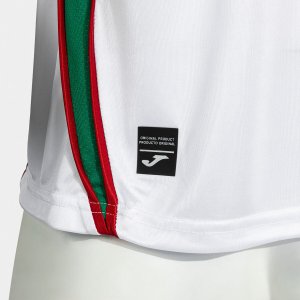 SHIRT SHORT SLEEVE MAN FUTBOL RETRO MUNDIAL 2026 WHITE GREEN