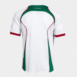 SHIRT SHORT SLEEVE MAN FUTBOL RETRO MUNDIAL 2026 WHITE GREEN