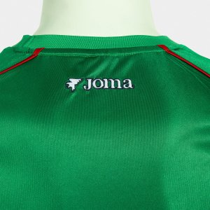 SHIRT SHORT SLEEVE MAN FUTBOL RETRO MUNDIAL 2026 GREEN WHITE