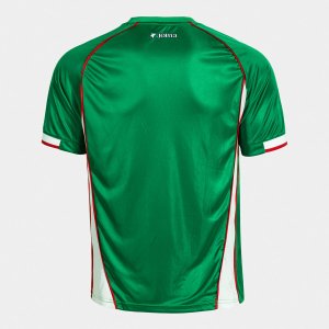 SHIRT SHORT SLEEVE MAN FUTBOL RETRO MUNDIAL 2026 GREEN WHITE