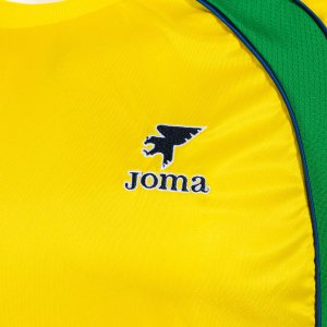 SHIRT SHORT SLEEVE MAN FUTBOL RETRO MUNDIAL 2026 YELLOW GREEN