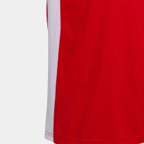 JOMA COSENZA T-SHIRT RED S/S