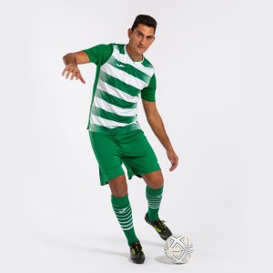 JOMA EUROPA V SHORT SLEEVE T-SHIRT GREEN WHITE
