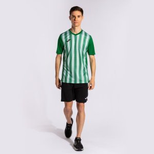 JOMA INTER II SHORT SLEEVE T-SHIRT GREEN WHITE