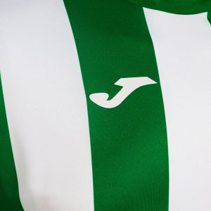 JOMA INTER CLASSIC LONG SLEEVE T-SHIRT GREEN WHITE